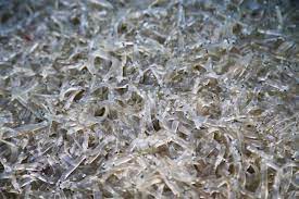 제18회 장고항 실치마을 수산물 홍보행사 기본정보와 프로그램 정리 김의영 이진관 하이런 등 출연