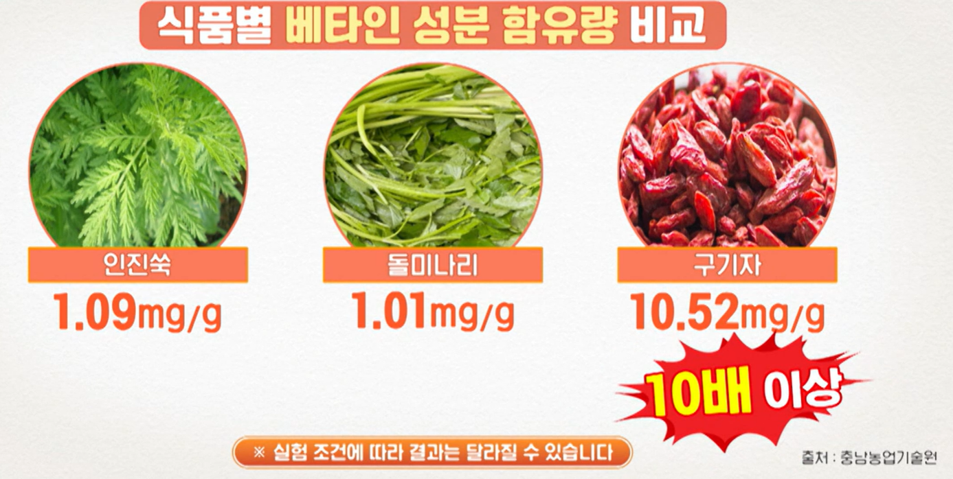 홍국 발효 구기자 효능