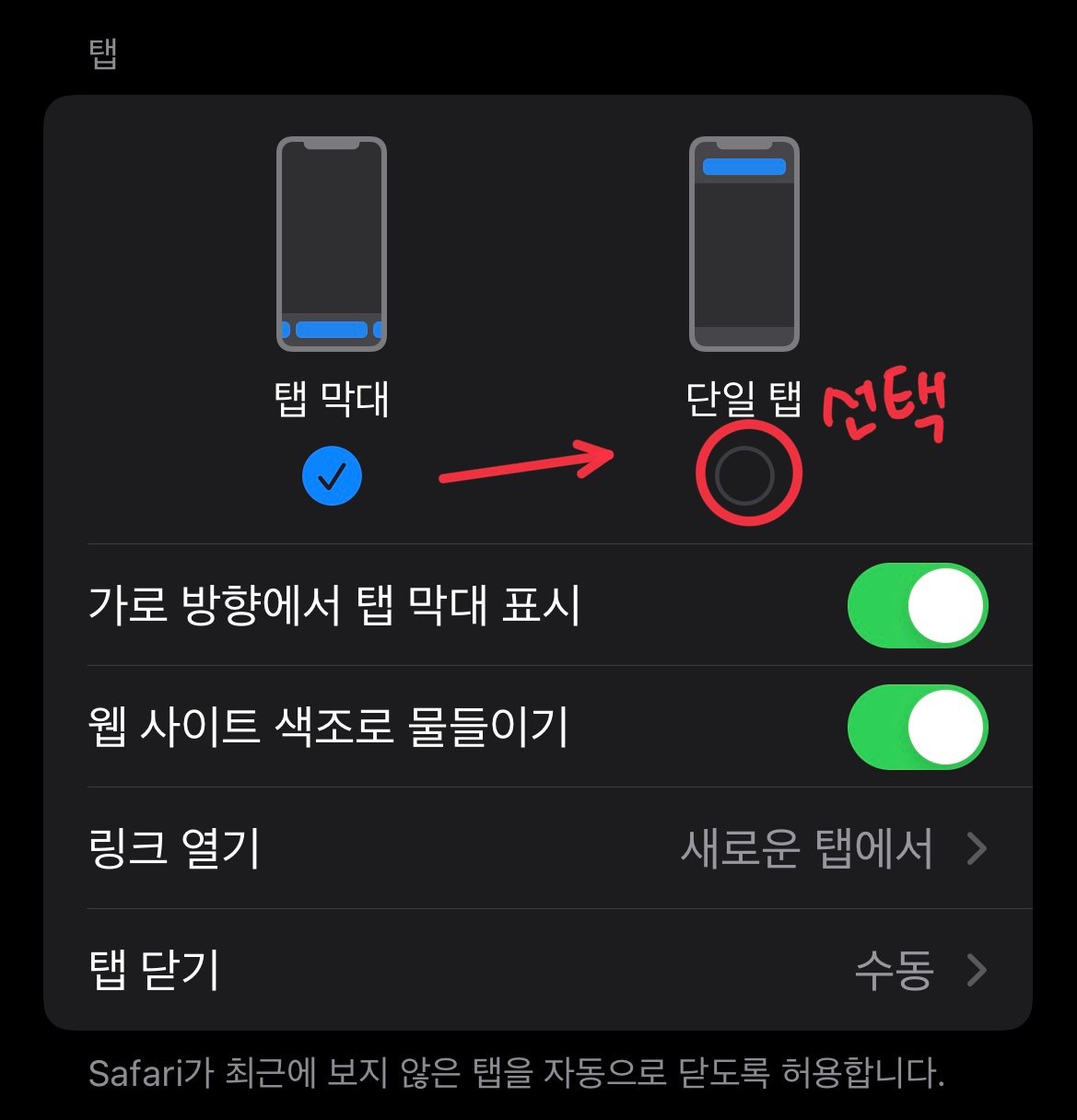 사파리-주소창-설정