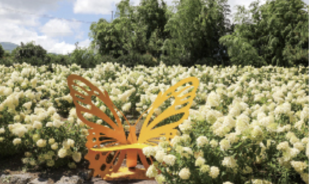 휴애리 제주관광