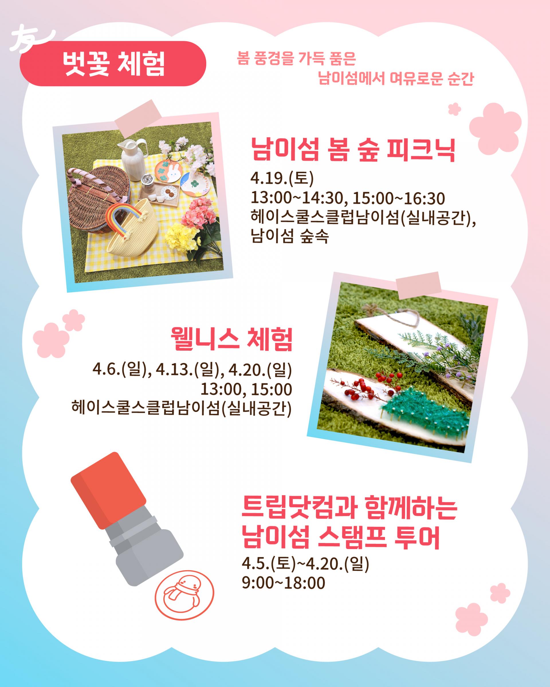 춘천 남이섬 벚꽃축제 일정 및 프로그램