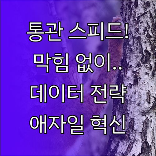 개인통관번호 통관 프로세스 실시간 대..