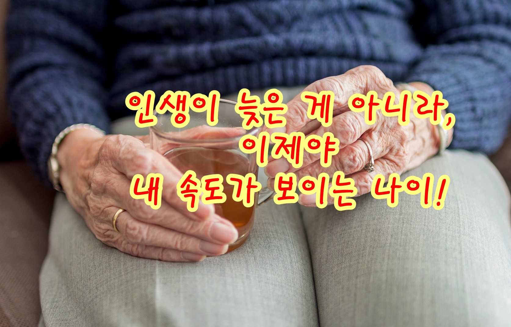 인생이 늦은 게 아니라, 이제야 내 속도가 보이는 나이!