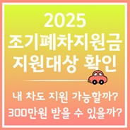 차량 등급 조회하기