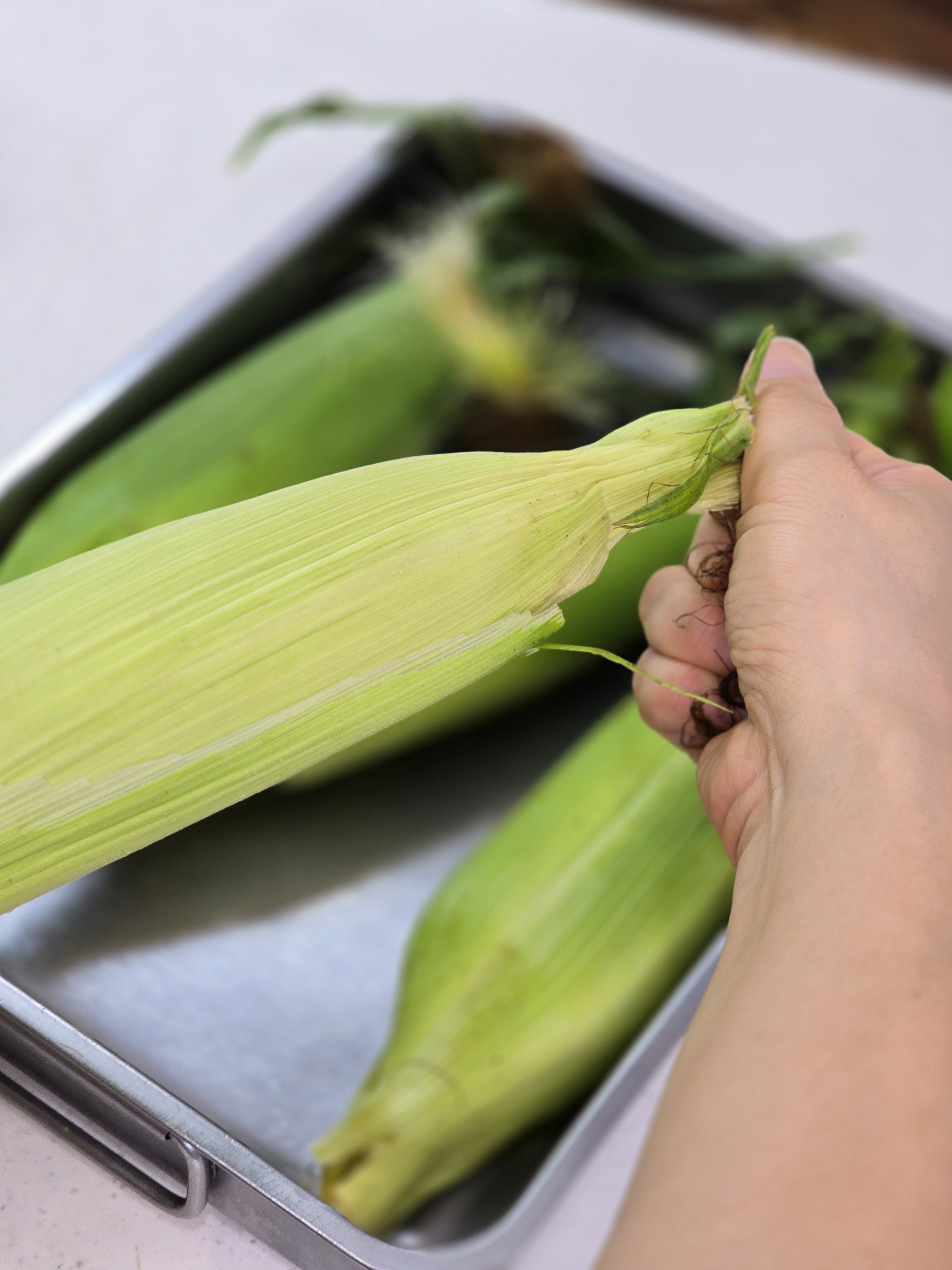 초당옥수수 삶는법 시간