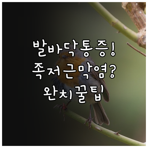 족저근막염의 이해와 통증 완화를 위한..