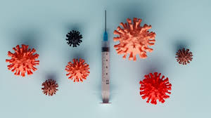 2024 독감 무료접종