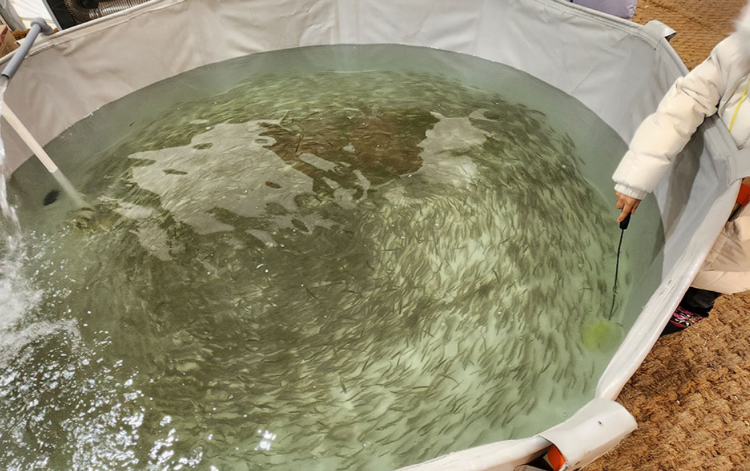 포천 백운계곡 동장군축제