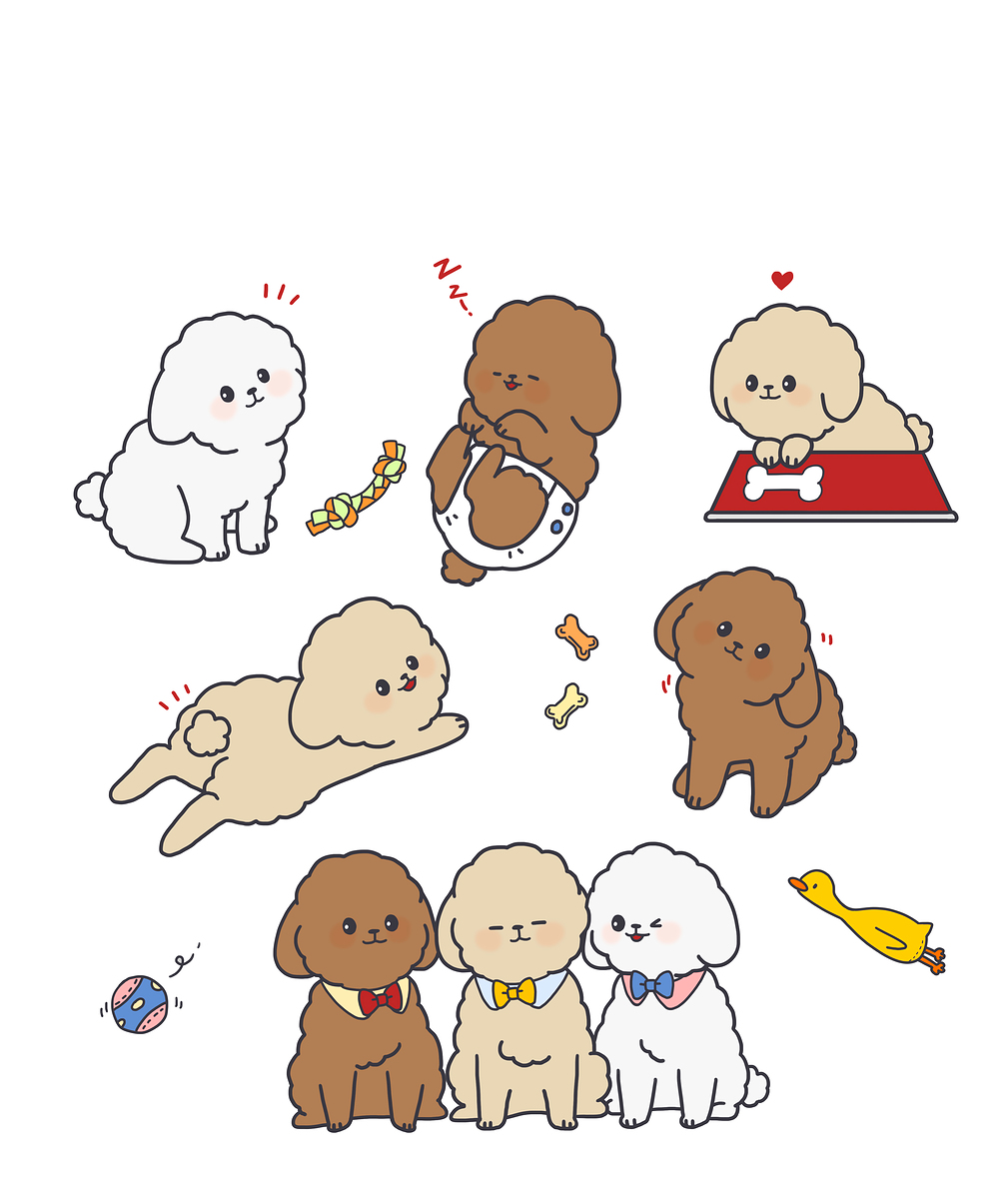 토이푸들의 모든것