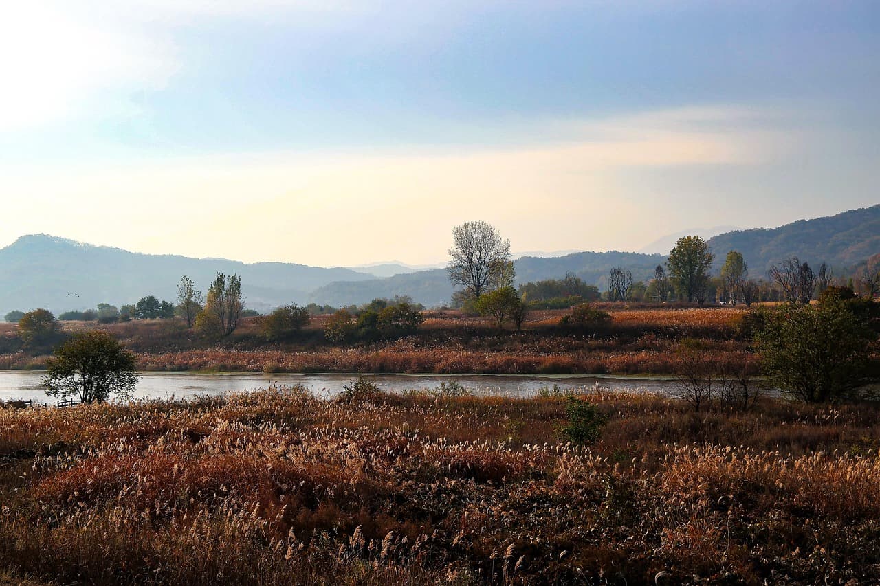 여주 강천섬 억새 트레킹 2025 은빛 물결 속을 걷는 가을 여행