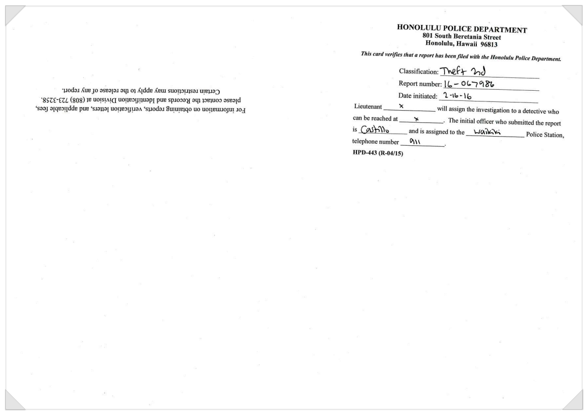 미국 폴리스 리포트