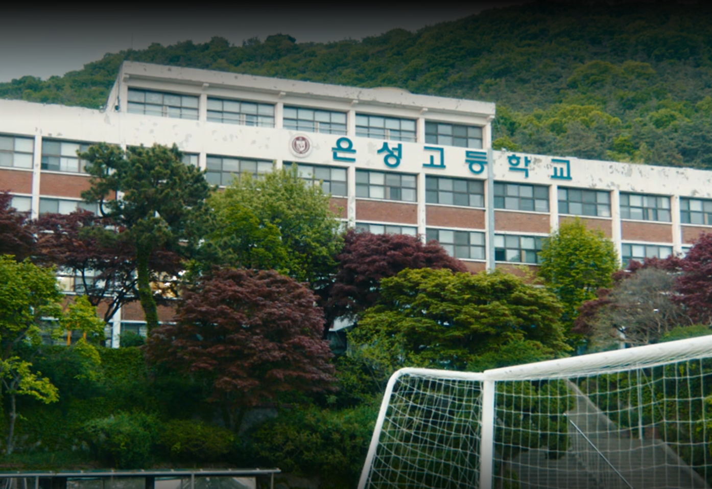 '내가 죽기 일주일 전' 원작 소설 완전 해부