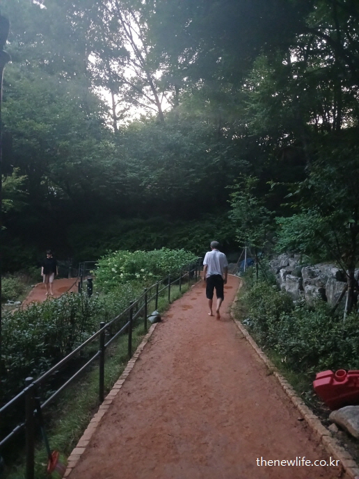 황토길 맨발 걷기가 고혈압 관리에 도움이 되는 장면