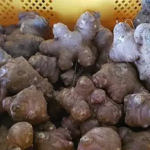 돼지감자 즙의 효능