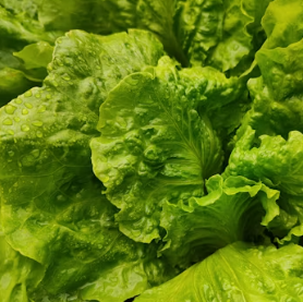 이석증에 좋은 음식 영양제 식단