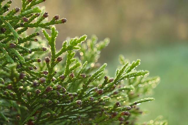 40대 여성 부업형 자격증 BEST 5