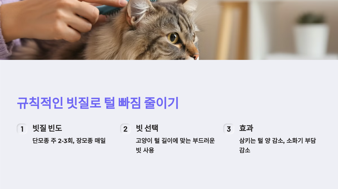 고양이 헤어볼 관리법