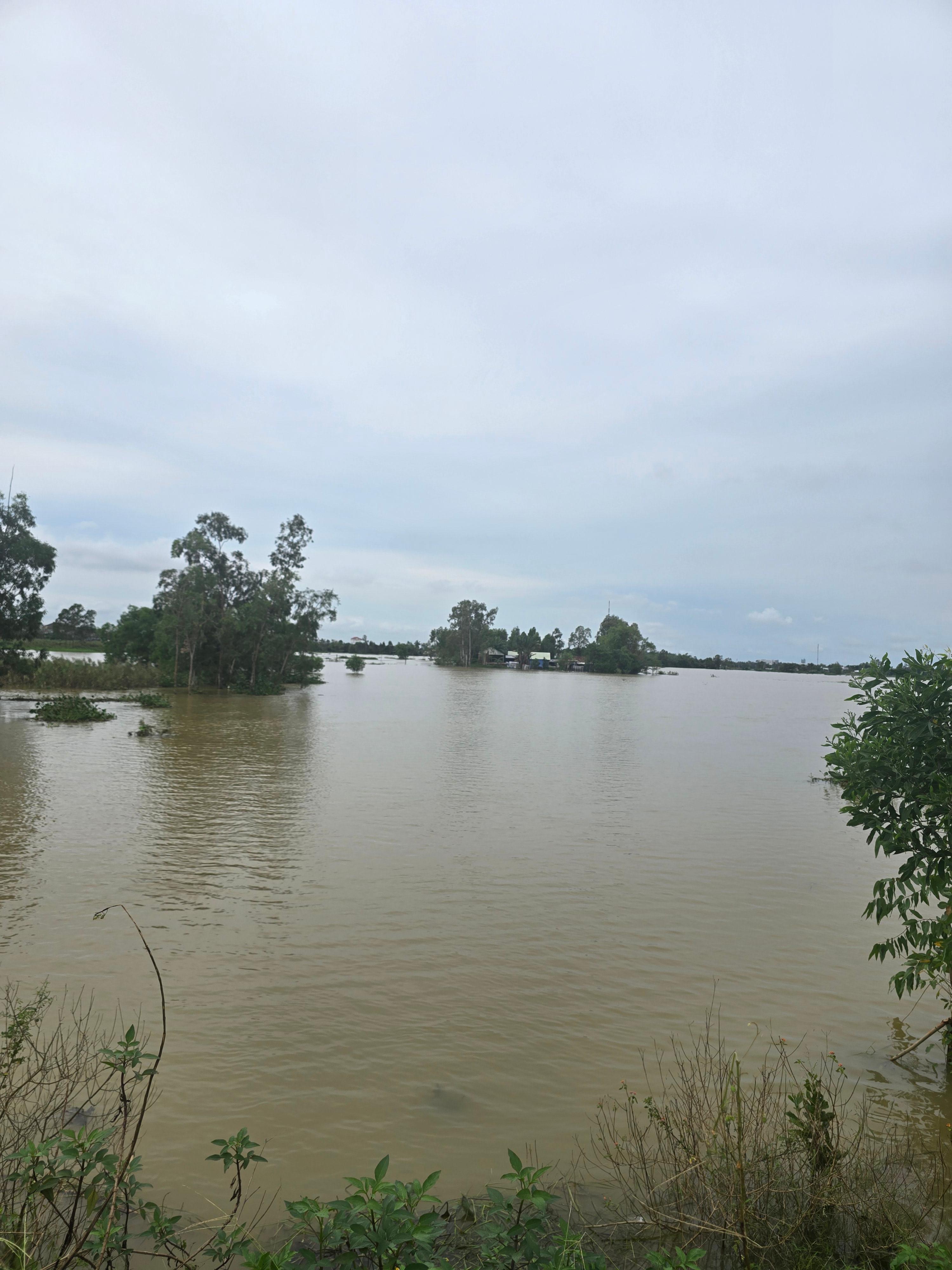 다낭 땀끼 지역의 침수 후, 고요히 잠든 강의 풍경