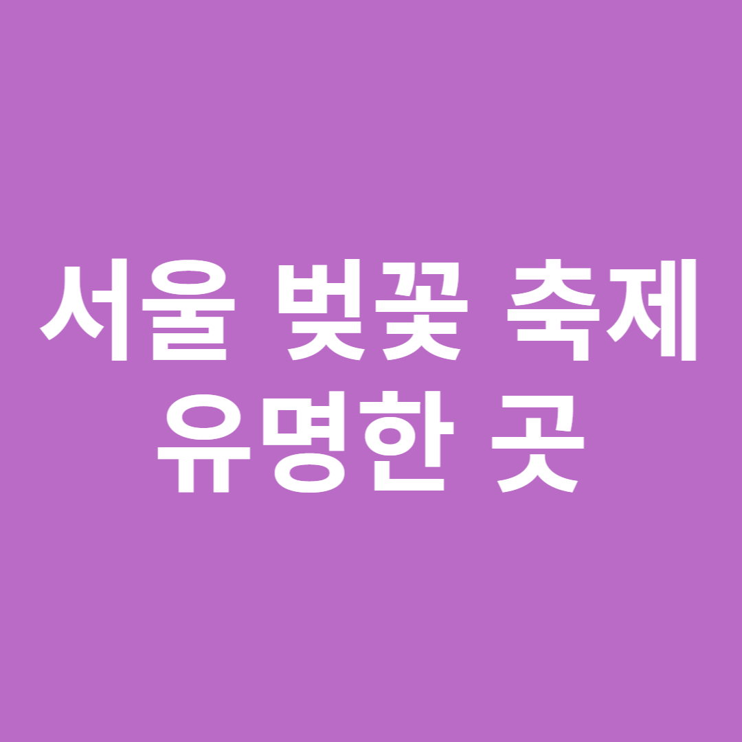 서울 벚꽃 축제 유명한 곳 BEST 명소 총정리