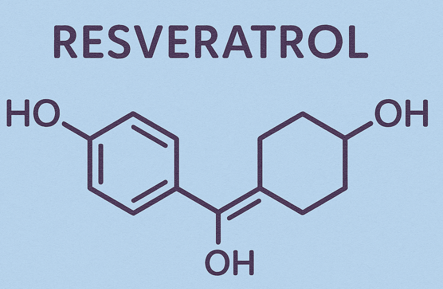 항산화제 레스베라트롤 완전 분석