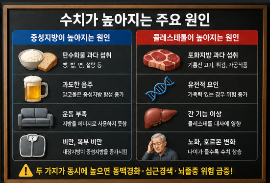 중성지방 vs 콜레스테롤 차이, 제대로 모르면 계속 수치 안 떨어진다