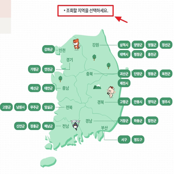 2024 관광주민증 발급, 사용 방법 (최신판)