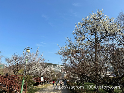 대연 수목전시원 내부3