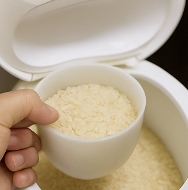 쌀벌레 없애는법