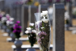 국가유공자 자녀 혜택