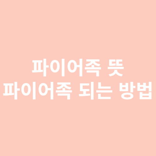 파이어족 뜻