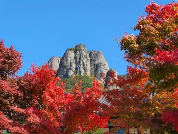 2025 청송 주왕산 단풍 절정시기 및 트레킹 코스, 주차, 맛집, 주변명소 사진