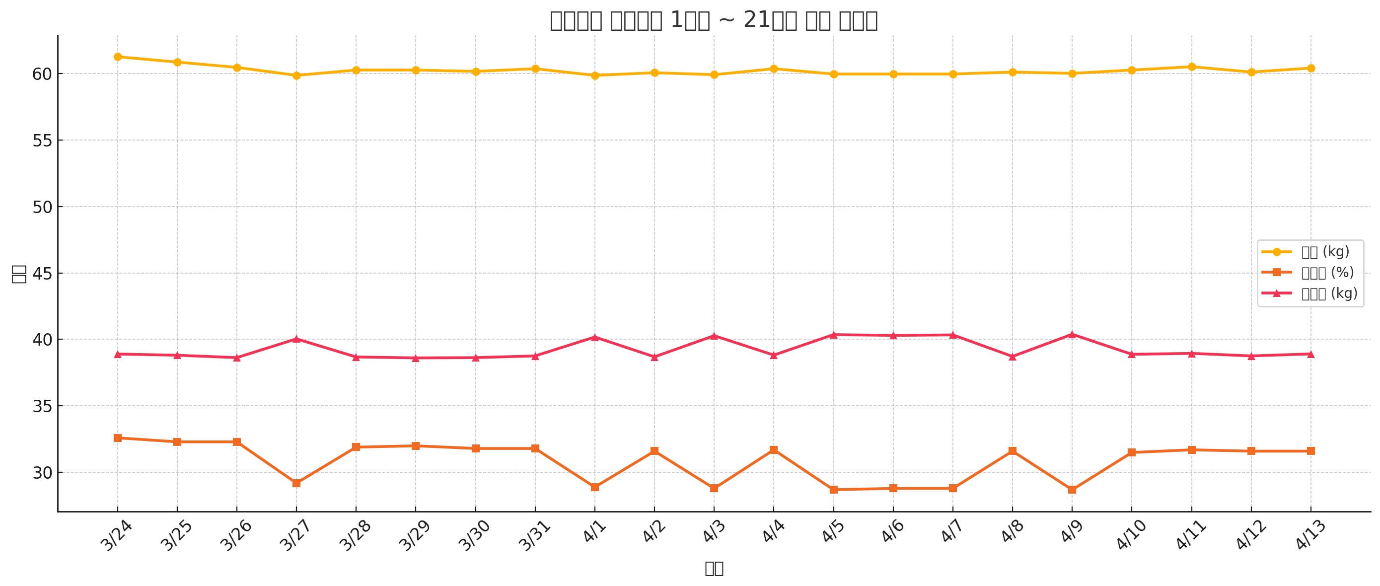 스위치온 21일간 체중변화 그래프