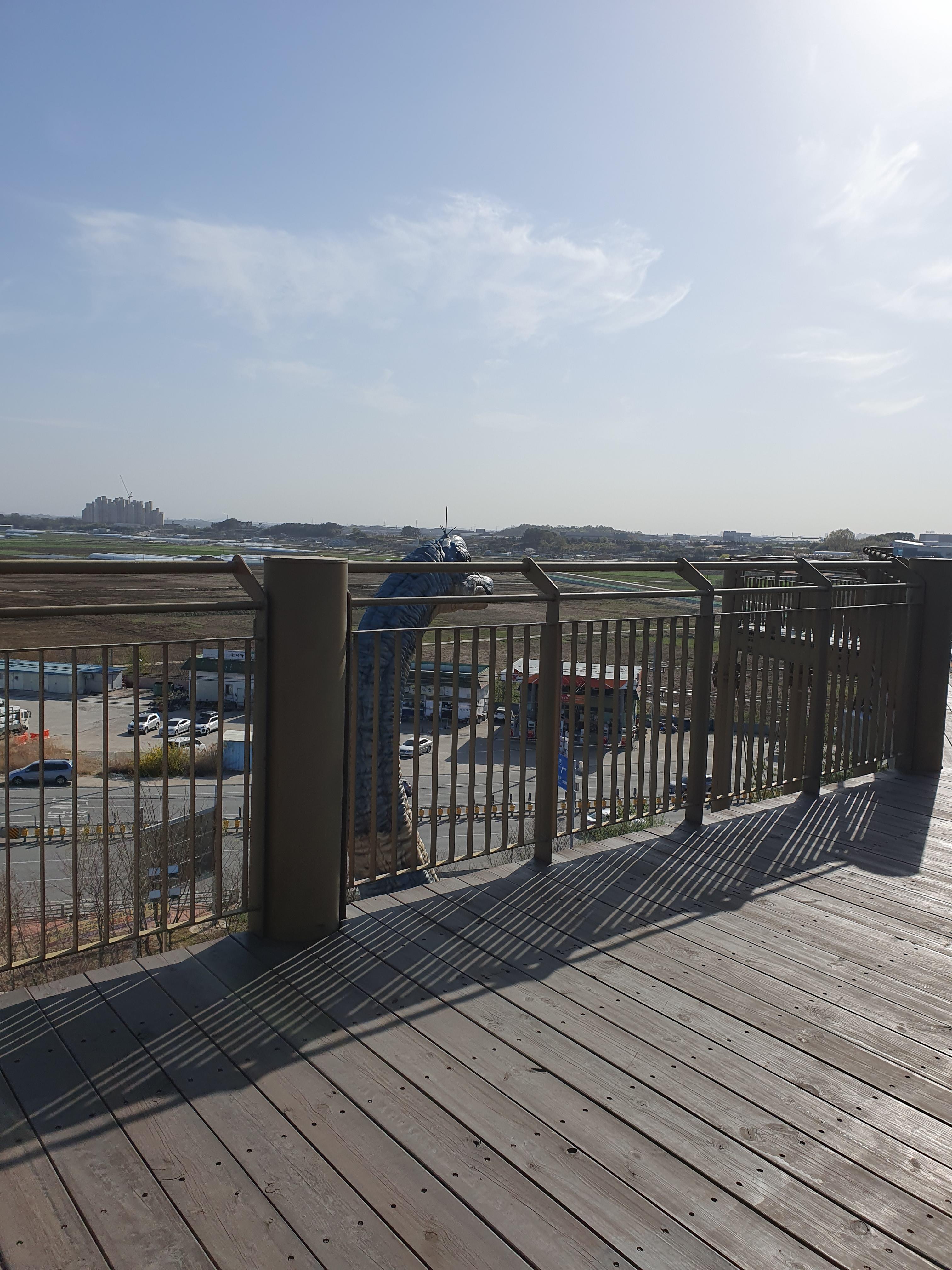 브라키오 사우르스 키와 똑같은 전망대 높이