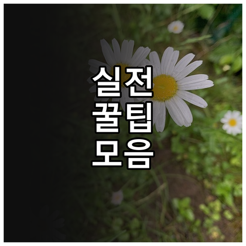 강원 학부모 2025 다자녀 교육비 ..