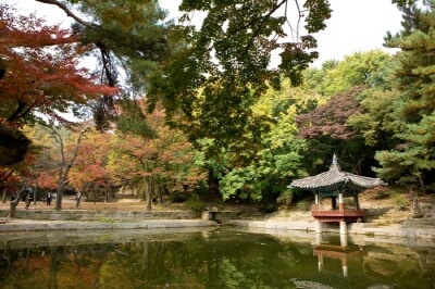 창덕궁-후원-사전-예약-필수-정보