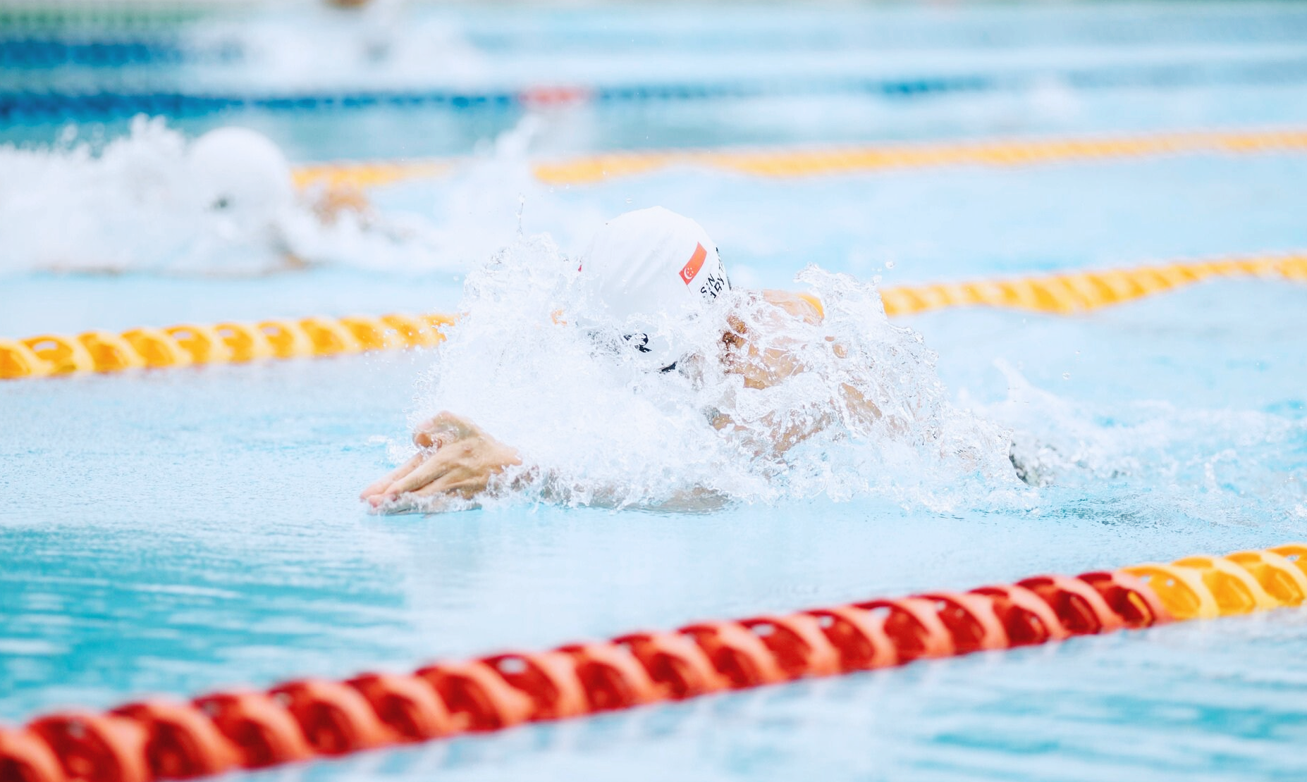 물속에서 수영하는 사진