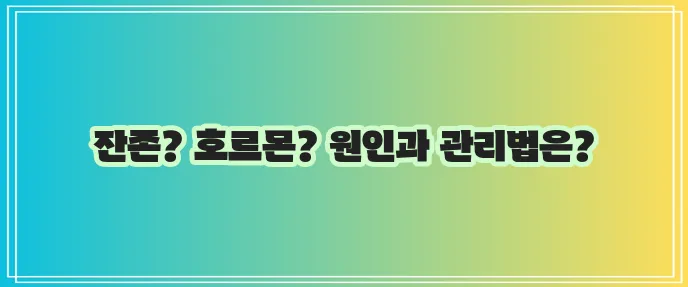 고양이 중성화수술 후 발정 원인과 관리법 확실히 알아보기