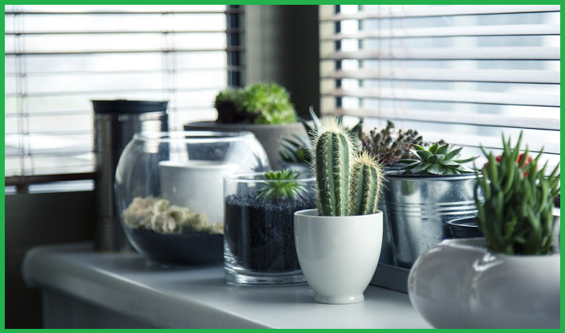 청년전용-버팀목전세자금-신청시기