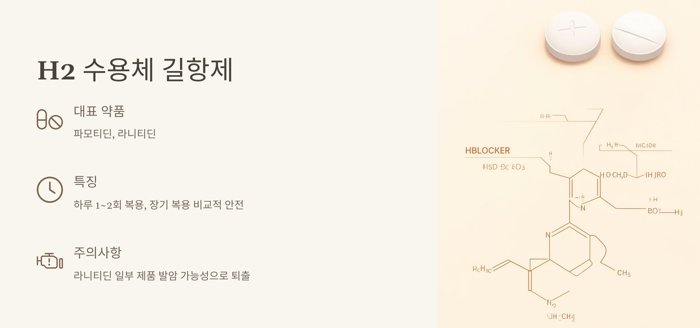 H2 수용체 길항제 의 종류와 특징, 주의사항에 대한 이미지