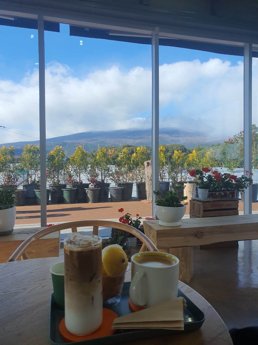 서귀포 레몬뮤지엄 카페