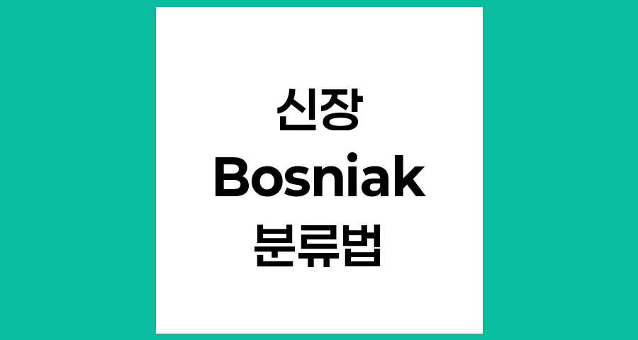 Bosniak 분류법, 신장 낭종의 악성도 평가 체계 이해하기
