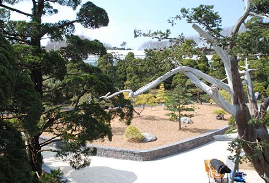 베어트리파크 철쭉제 봄과 철쭉