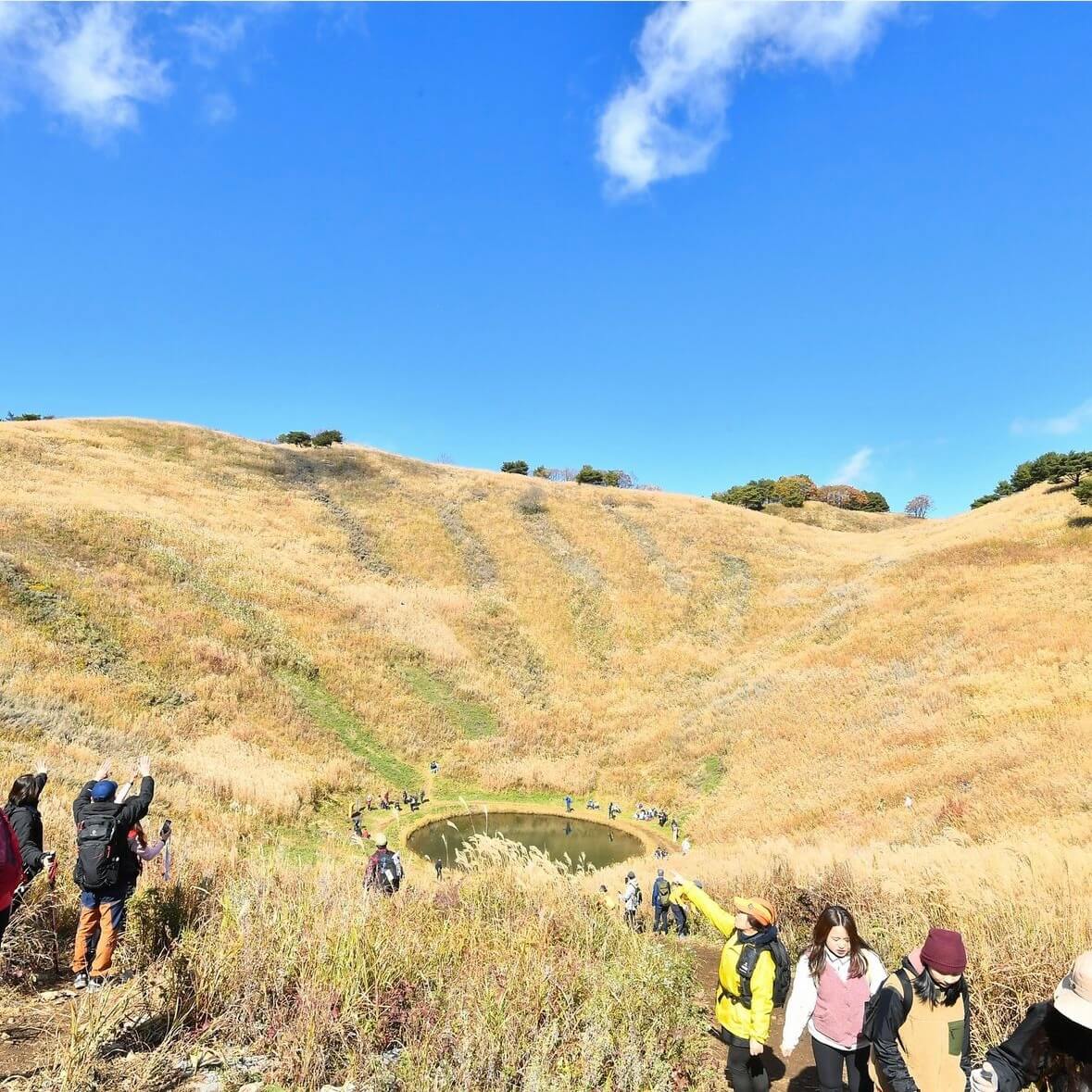 민둥산 억새꽃축제