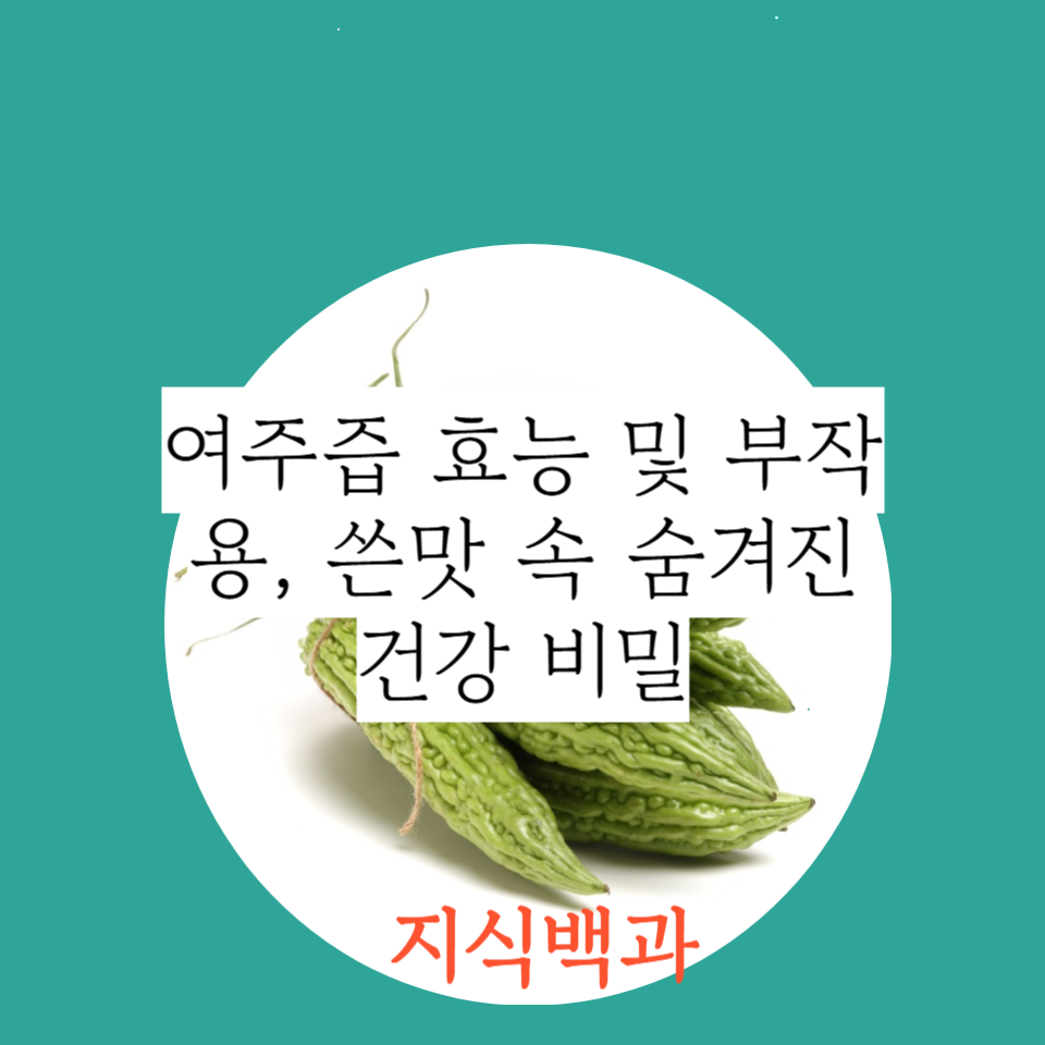 여주즙 효능 및 부작용, 쓴맛 속 숨겨진 건강 비밀
