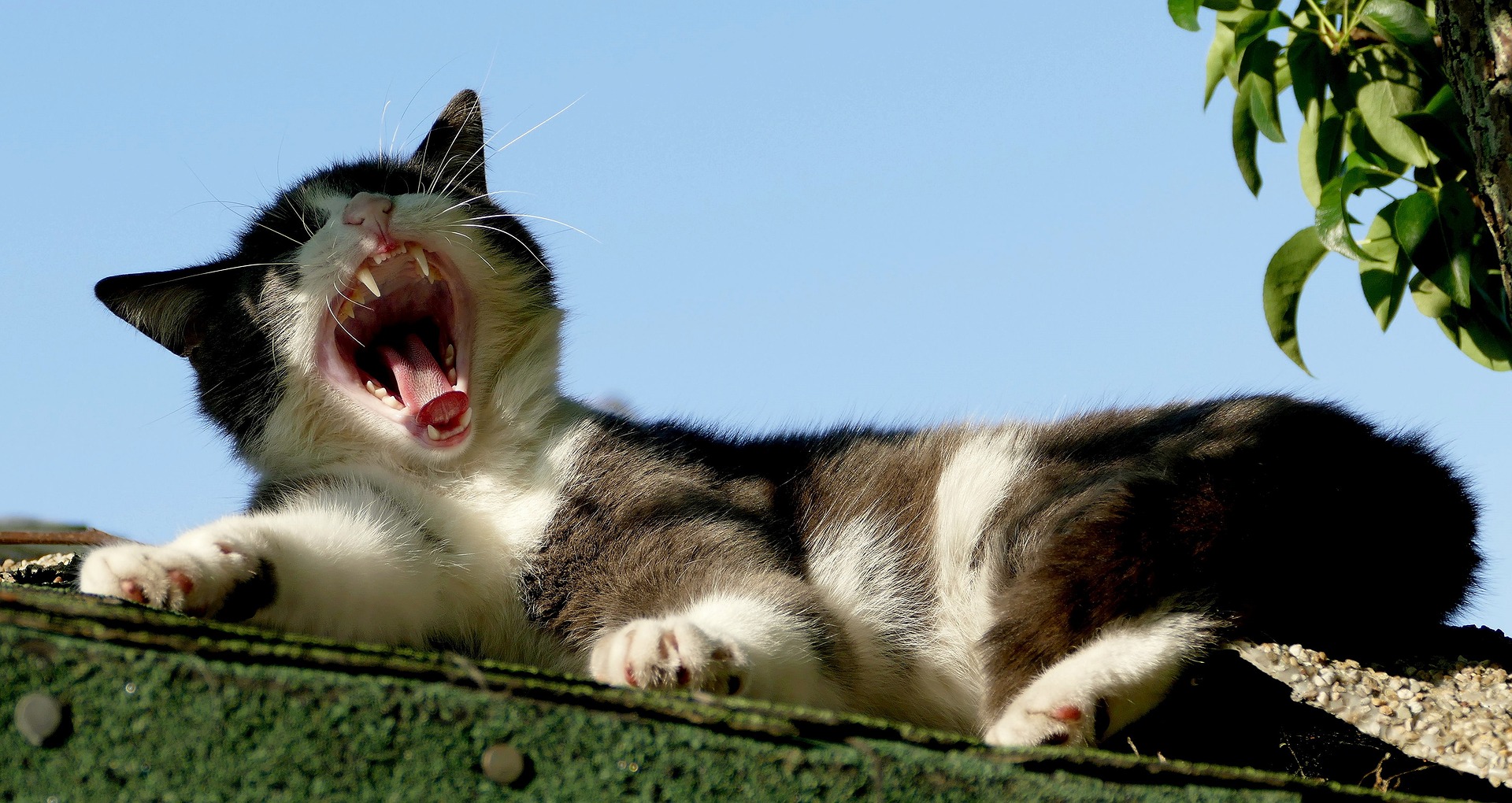 신장이 안좋으면 나타나는 증상 불면증