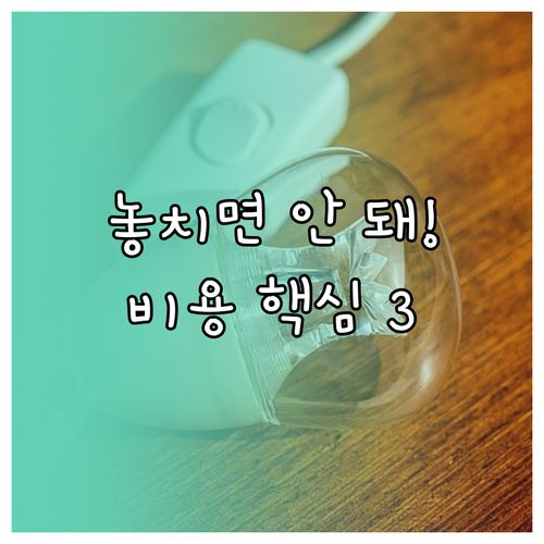 크리스마스 조명 렌탈 비용을 결정하는..