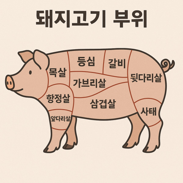 돼지고기 부위별 이름표