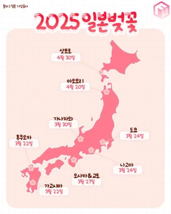 벚꽃 개화시기 2025 만개시기 히든스팟_10