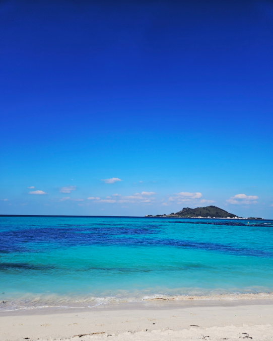 제주도 포토존 3곳만 엄선한 인생샷 명소 (협재해변, 새별오름, 섭지코지)