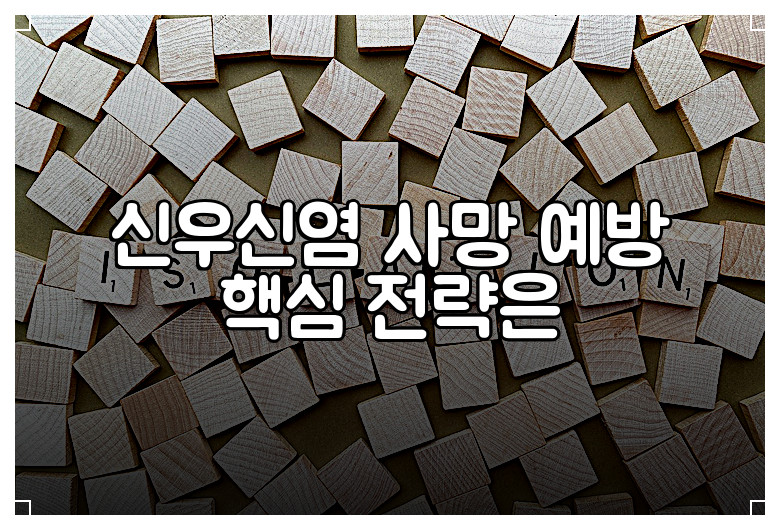 신우신염 사망 예방 핵심 전략은
